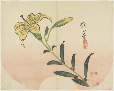 (Lily), 1839 da Hogyoku